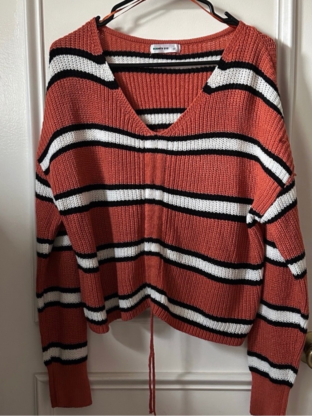 Society Striped Rust V-Neck Sweater